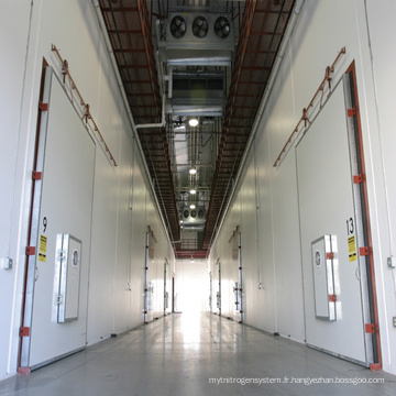 Salle de refroidissement de stockage de froid de pastèque de qualité